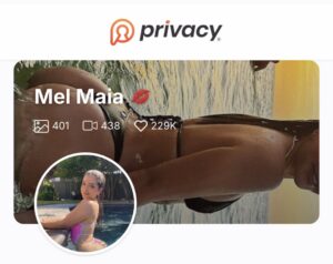 Privacy Mel Maia